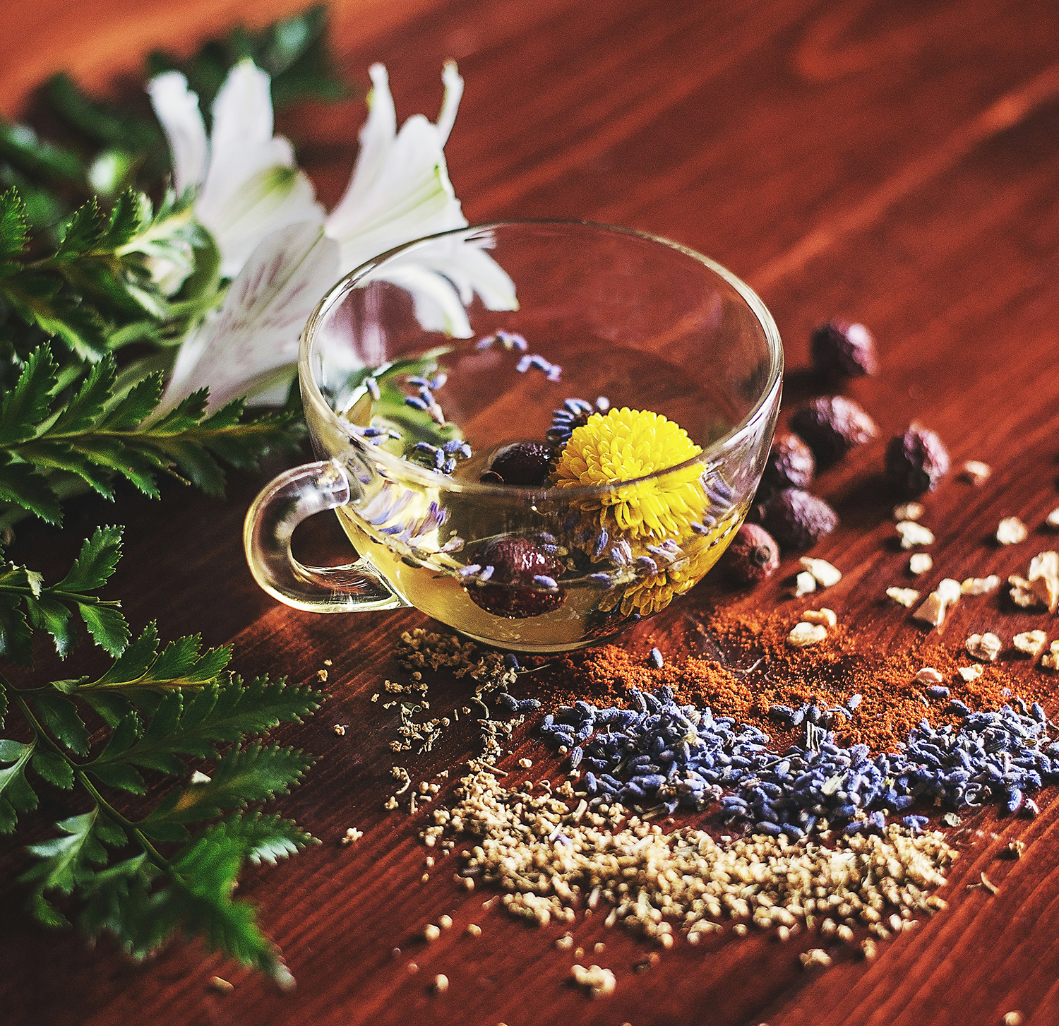 Heilkräuter und deren Wirkung